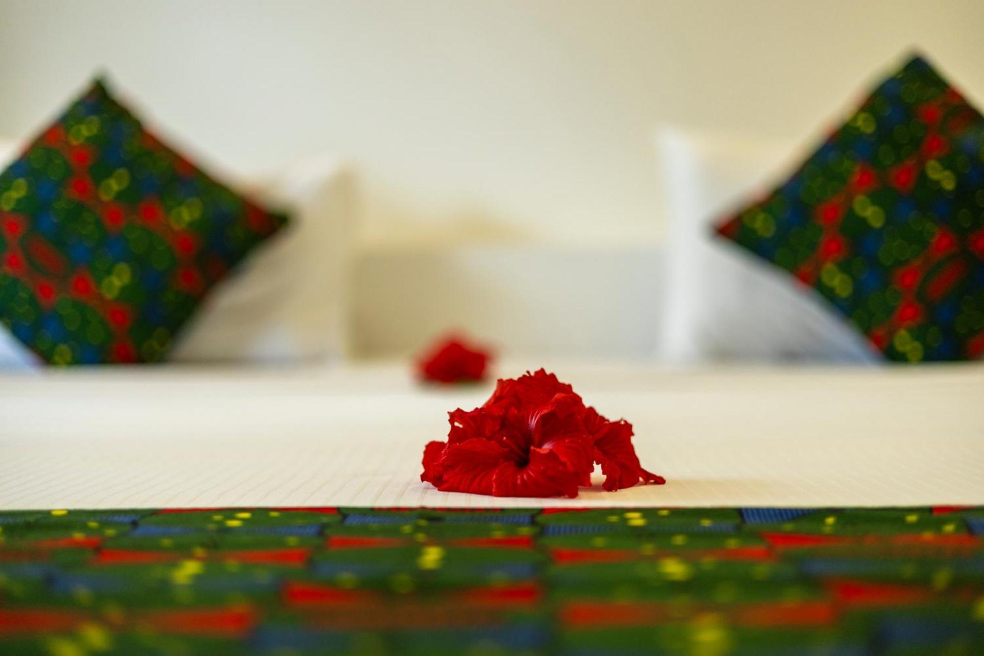 Mem Luxury And